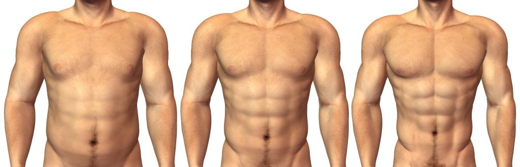 Muskeln Bodyforming mit EMS Training,Fitness Studio, Sport