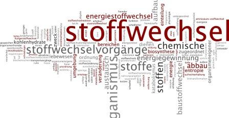 Fettstoffwechsel,abnehmen,verbrennen